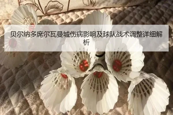 贝尔纳多席尔瓦曼城伤病影响及球队战术调整详细解析（BOGOUSPORTS）