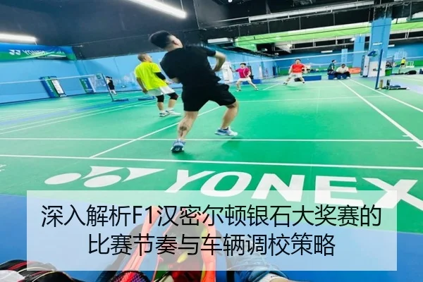 深入解析F1汉密尔顿银石大奖赛的比赛节奏与车辆调校策略 - BOGOUSPORTS